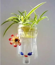 如何用顏料瓶養(yǎng)花