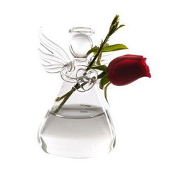 六出花瓶養(yǎng)花期