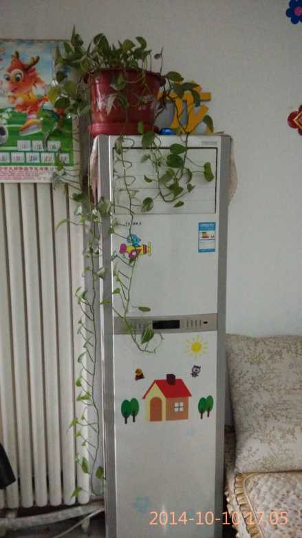 我的媽媽很喜歡養(yǎng)花的拼音