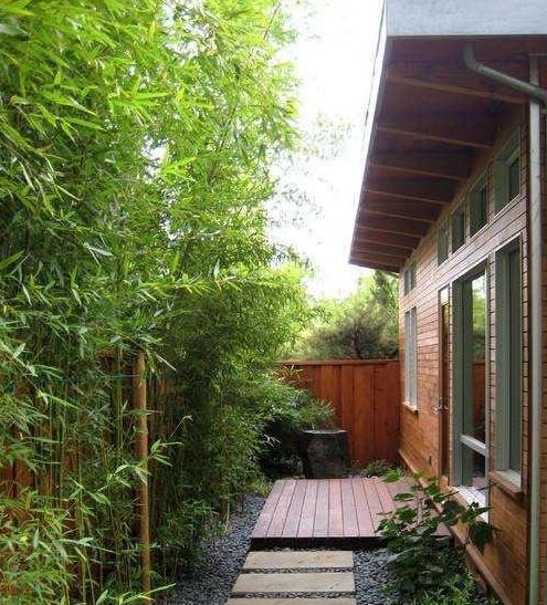 庭院養(yǎng)花及設(shè)計(jì)