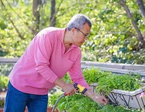 養(yǎng)花開(kāi)花有什么說(shuō)法