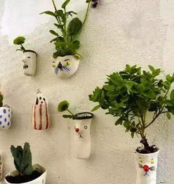 春天養(yǎng)花的建筑沙曬幾天