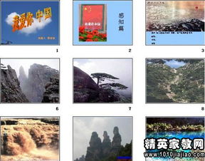 養(yǎng)花是給別人看到說(shuō)課稿