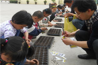 生態(tài)教育養(yǎng)花育人報(bào)道