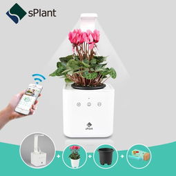 全自動的養(yǎng)花