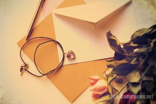 會(huì)養(yǎng)花的女孩怎么夸贊