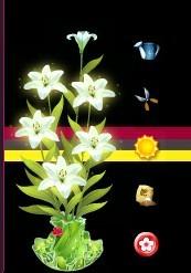 qq空間養(yǎng)花在哪