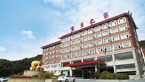 大連哪有養(yǎng)花基地