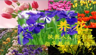 養(yǎng)花的樂趣教案