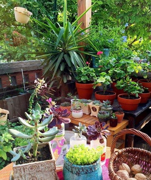 冬天養(yǎng)花幾天澆一次