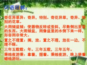 養(yǎng)花課文主旨