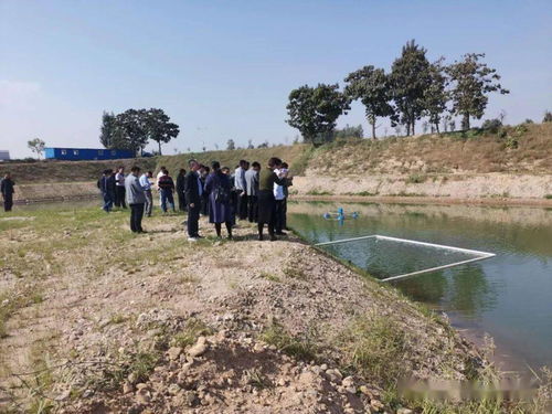 南和養(yǎng)花地方