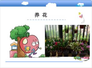 北師大養(yǎng)花課件