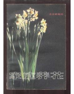 家庭養(yǎng)花的故事