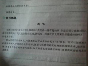 養(yǎng)花記作文300字