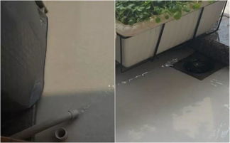 陽(yáng)臺(tái)養(yǎng)花自動(dòng)澆水裝置