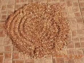 養(yǎng)花的時(shí)候小蟲子怎么消滅掉