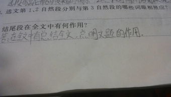 養(yǎng)花第七自然段在文中的作用是什么