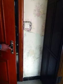 臥室門旁養(yǎng)花