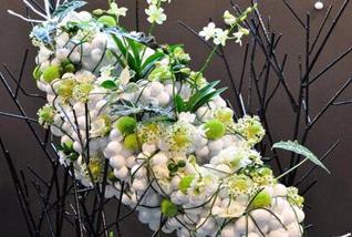 北京學(xué)習(xí)養(yǎng)花插花訓(xùn)練班