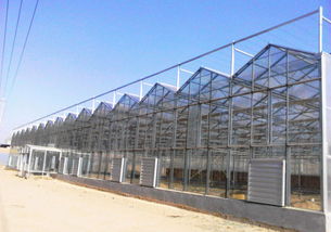 養(yǎng)花智能溫室6