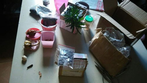 形容修心養(yǎng)性養(yǎng)花心得