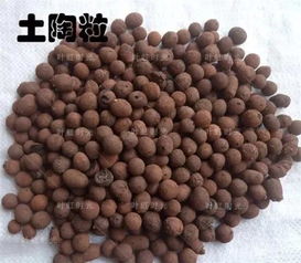 花盆底兒沒洞能養(yǎng)花嗎