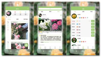 專門指導養(yǎng)花的平臺