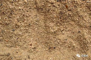 談談你對養(yǎng)花的見解