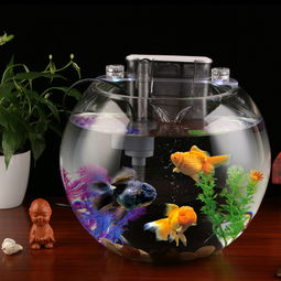 養(yǎng)花養(yǎng)魚(yú)一體大全