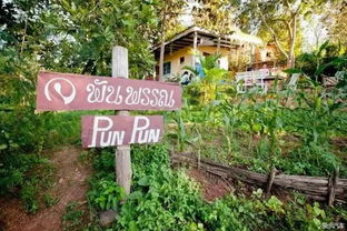 開(kāi)荒種地養(yǎng)花種菜的議論文