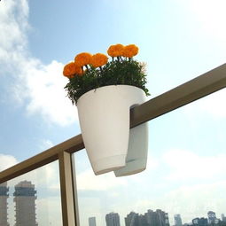 欄桿護(hù)欄上養(yǎng)花的花盆