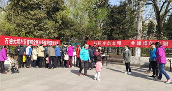 關(guān)于養(yǎng)花的活動方案