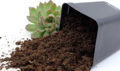 爐渣灰能做養(yǎng)花土嗎