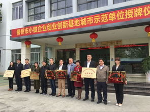 柳州市柳東創(chuàng)業(yè)創(chuàng)新服務(wù)