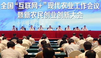 推進(jìn),情況,創(chuàng)新,創(chuàng)業(yè)