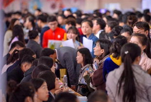 高校畢業(yè)生創(chuàng)業(yè)補(bǔ)貼,高校畢業(yè)生就業(yè)創(chuàng)業(yè),高校畢業(yè)生求職創(chuàng)業(yè)補(bǔ)貼