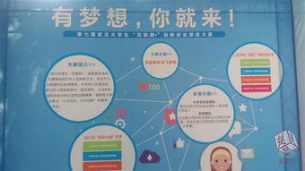 互聯(lián)網(wǎng)創(chuàng)新創(chuàng)業(yè)項目含金量