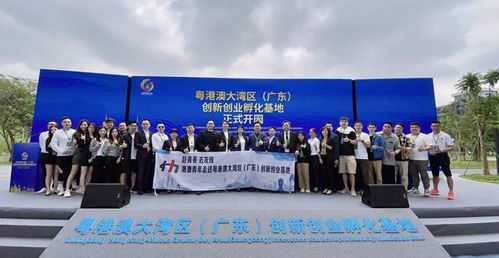 孵化,創(chuàng)新,創(chuàng)業(yè),基地