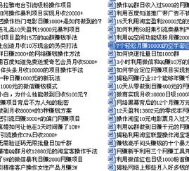 創(chuàng)業(yè)項(xiàng)目,所屬,代碼,創(chuàng)新