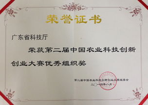 科技活動,實踐,創(chuàng)新,創(chuàng)業(yè)