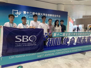 創(chuàng)業(yè)項目,創(chuàng)新,支持,學(xué)校