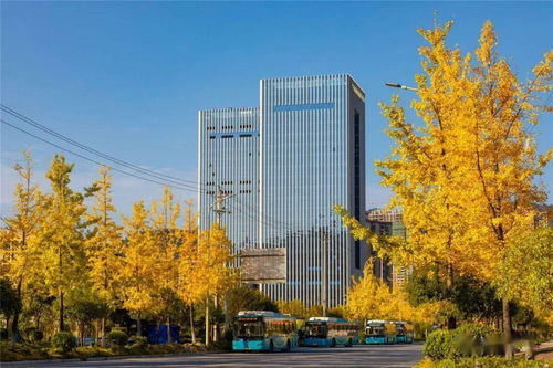 湖南省湘西經(jīng)濟(jì)開發(fā)區(qū)創(chuàng)新創(chuàng)業(yè)園