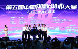 中國(guó)創(chuàng)新創(chuàng)業(yè)大賽初賽
