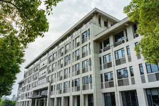 農(nóng)業(yè)大學(xué),華中,創(chuàng)業(yè)項目,創(chuàng)新