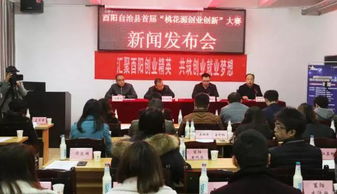 酉陽縣創(chuàng)業(yè)創(chuàng)新的案例分析