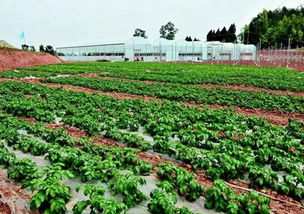 農(nóng)業(yè)部,農(nóng)村,創(chuàng)新,基地