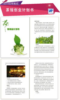 養(yǎng)生健康茶創(chuàng)新創(chuàng)業(yè)計劃書