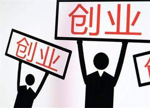 創(chuàng)業(yè)創(chuàng)新簡述創(chuàng)業(yè)者的類型