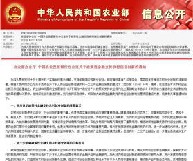 返鄉(xiāng),下鄉(xiāng),實施意見,創(chuàng)新